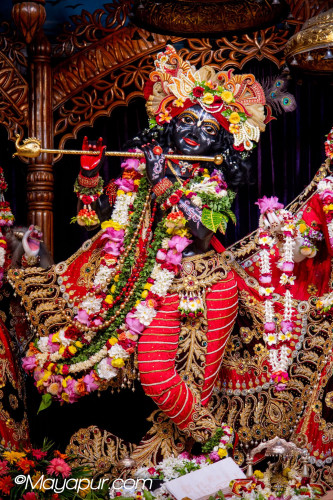 Daily Darshan