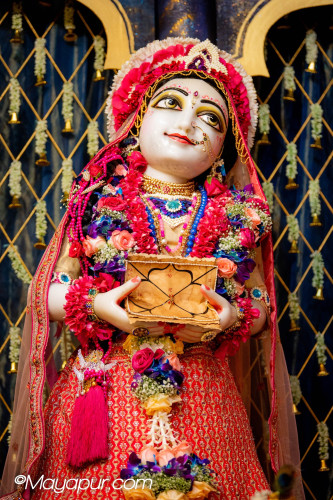 Daily Darshan