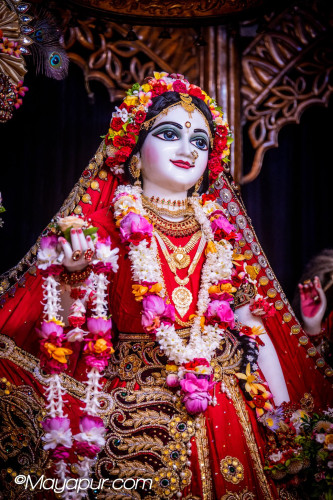 Daily Darshan