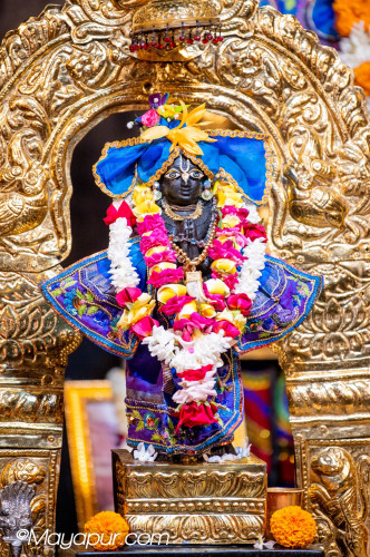 Daily Darshan