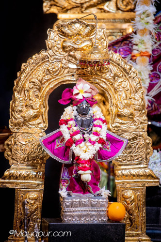 Daily Darshan