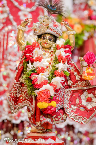 Daily Darshan
