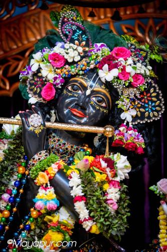 Daily Darshan