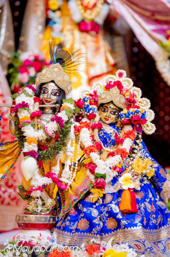 Daily Darshan