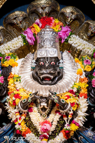 Daily Darshan