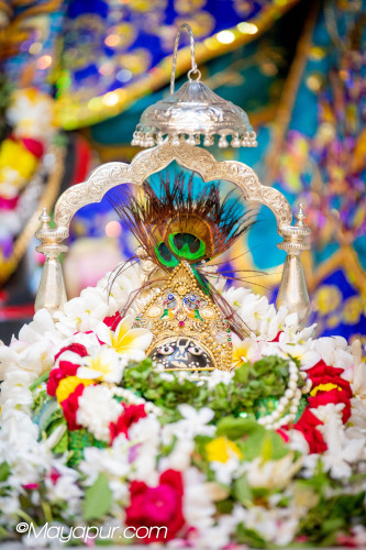 Daily Darshan