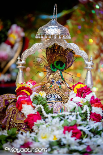 Daily Darshan