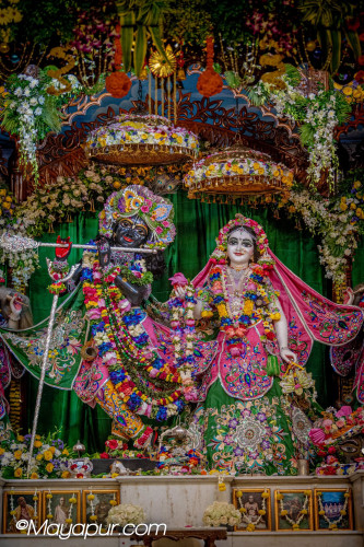 Daily Darshan
