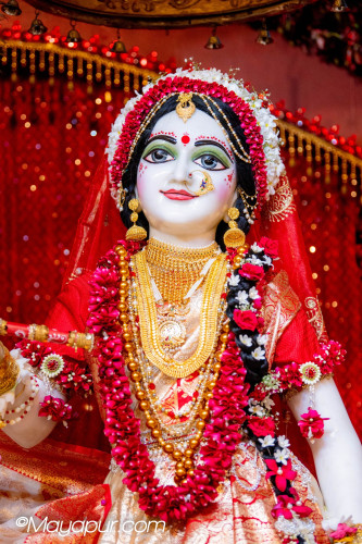 Daily Darshan
