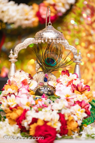 Daily Darshan