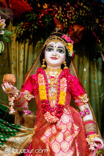 Daily Darshan