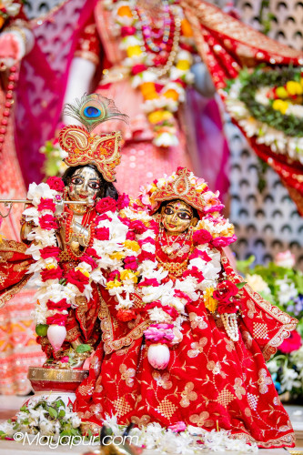 Daily Darshan