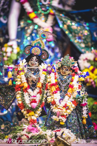 Daily Darshan