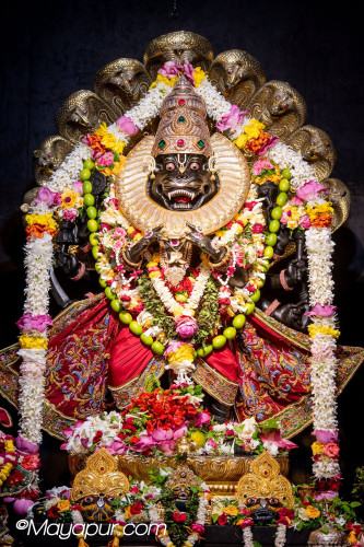 Daily Darshan