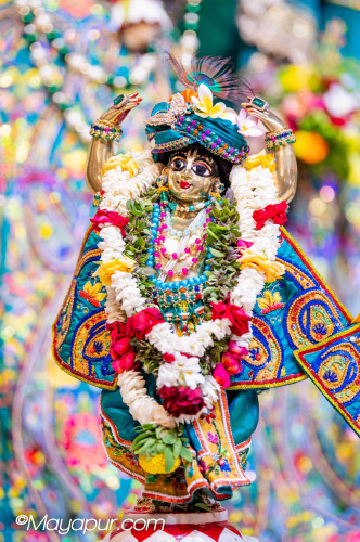 Daily Darshan