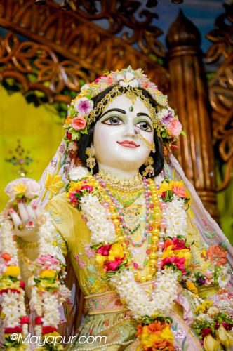 Daily Darshan