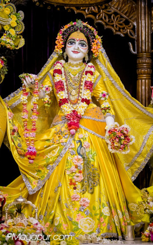 Daily Darshan