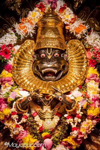 Daily Darshan