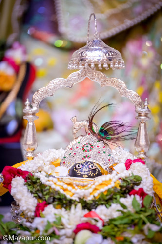 Daily Darshan
