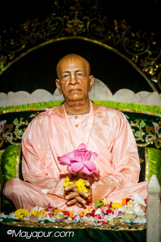 Daily Darshan