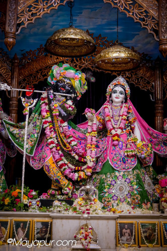 Daily Darshan