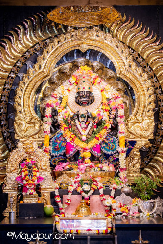 Daily Darshan