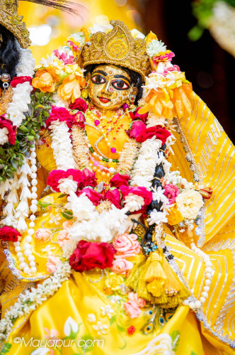 Daily Darshan