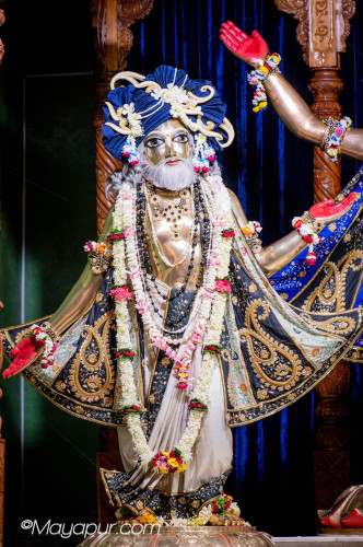 Daily Darshan