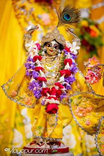 Daily Darshan