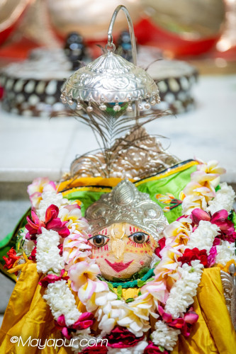 Daily Darshan