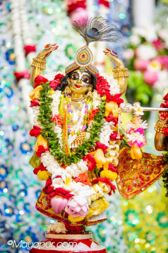 Daily Darshan
