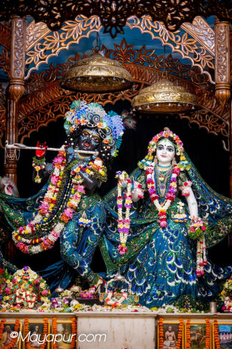 Daily Darshan