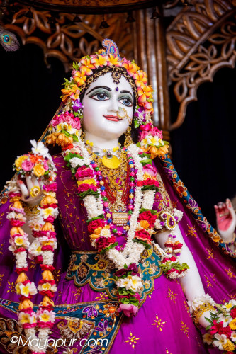 Daily Darshan
