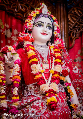 Daily Darshan