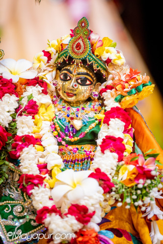 Daily Darshan