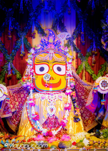 Daily Darshan