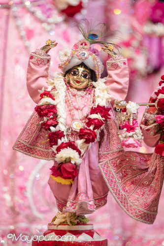 Daily Darshan