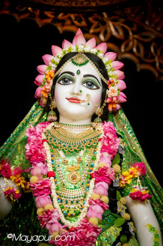 Daily Darshan