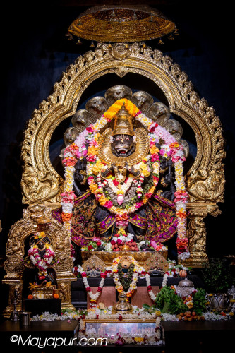 Daily Darshan