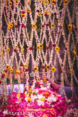 Daily Darshan