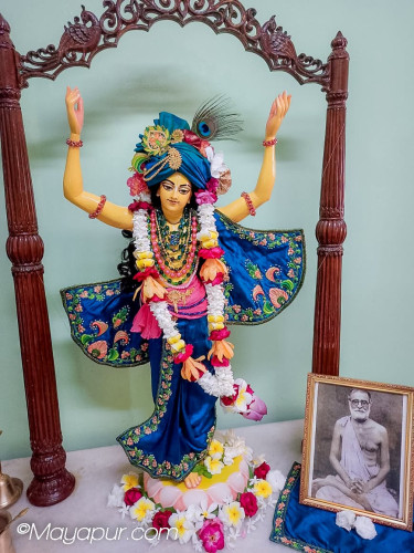 Daily Darshan