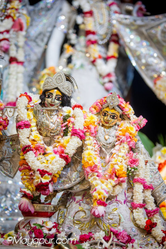 Daily Darshan