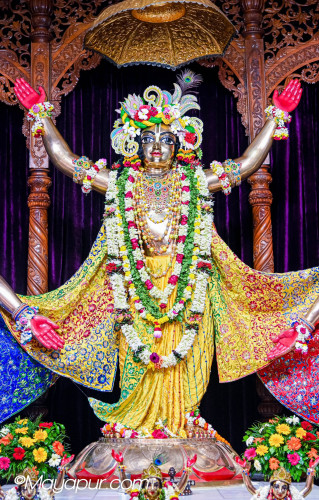Daily Darshan