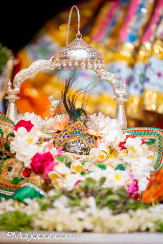 Daily Darshan
