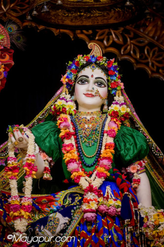 Daily Darshan