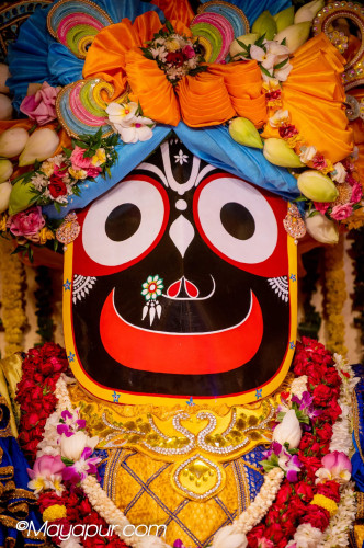 Daily Darshan