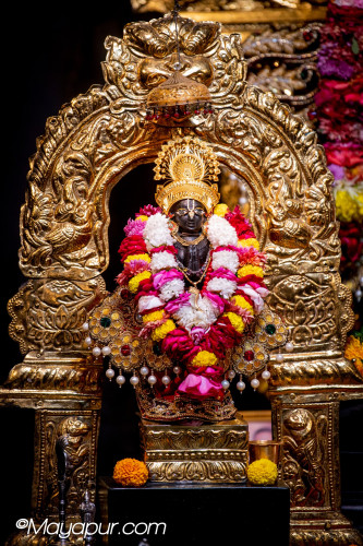 Daily Darshan