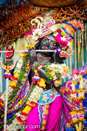 Daily Darshan