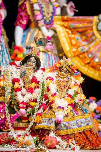 Daily Darshan