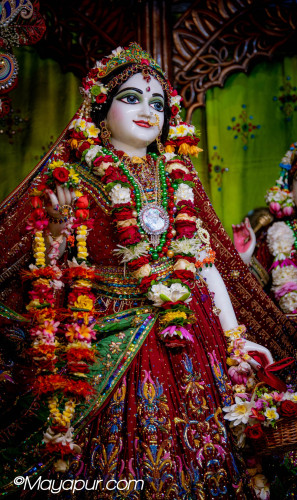 Daily Darshan